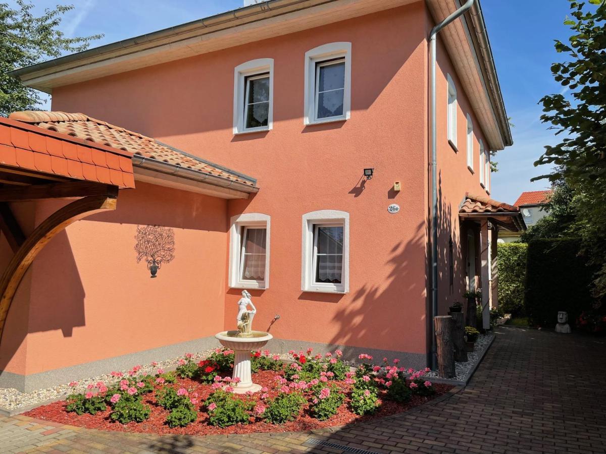 Zentrumsnahe Ferienwohnung Δρέσδη Εξωτερικό φωτογραφία